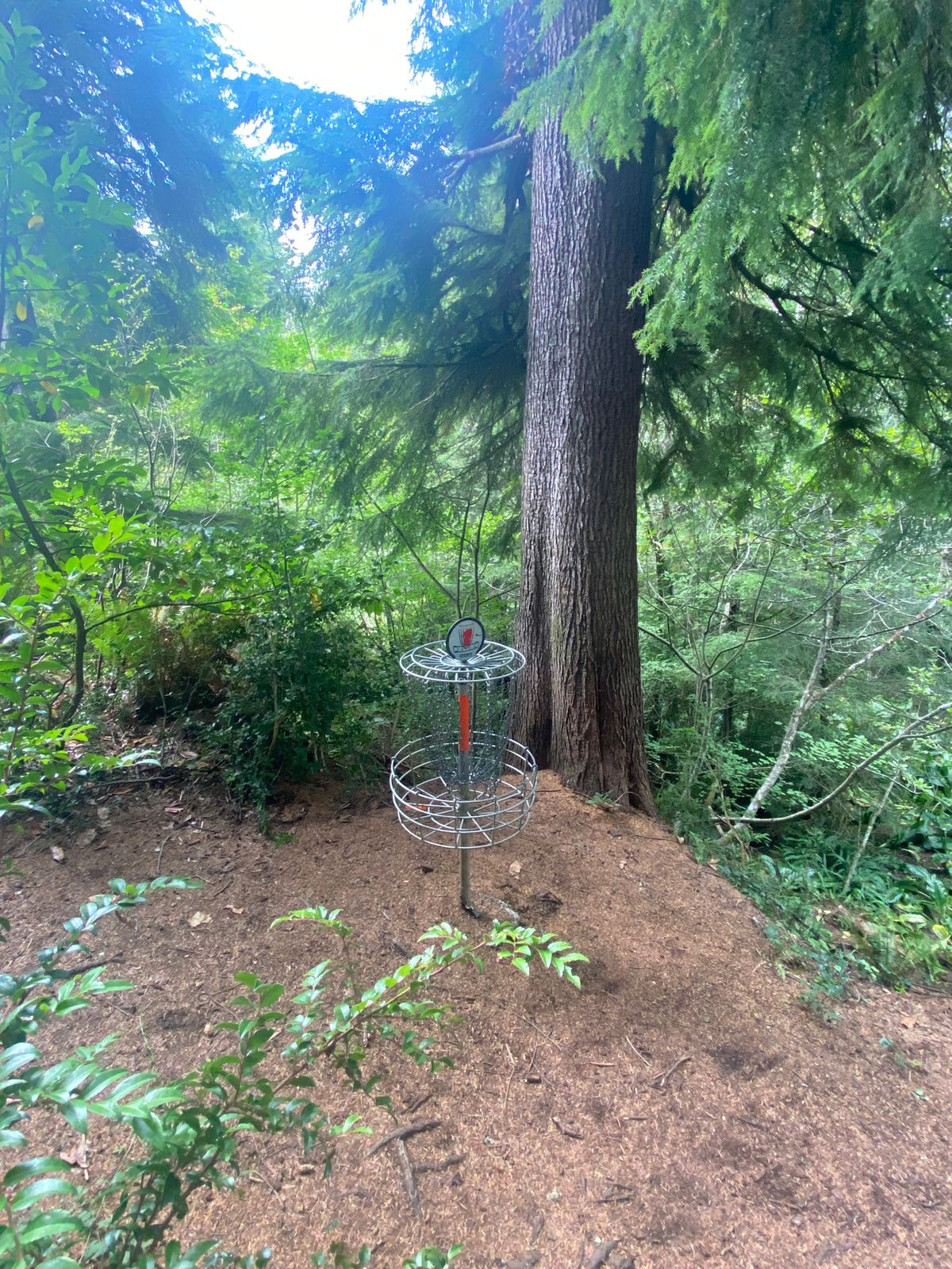 Hole 1. C position