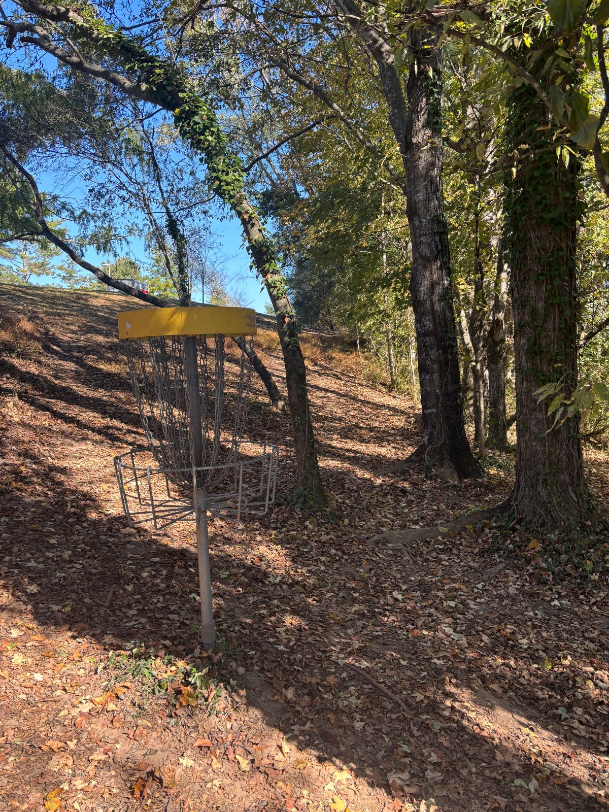 Hole #2 Basket to Tee