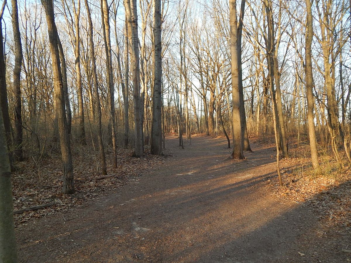 Hole seven fairway, basket slightly to the left