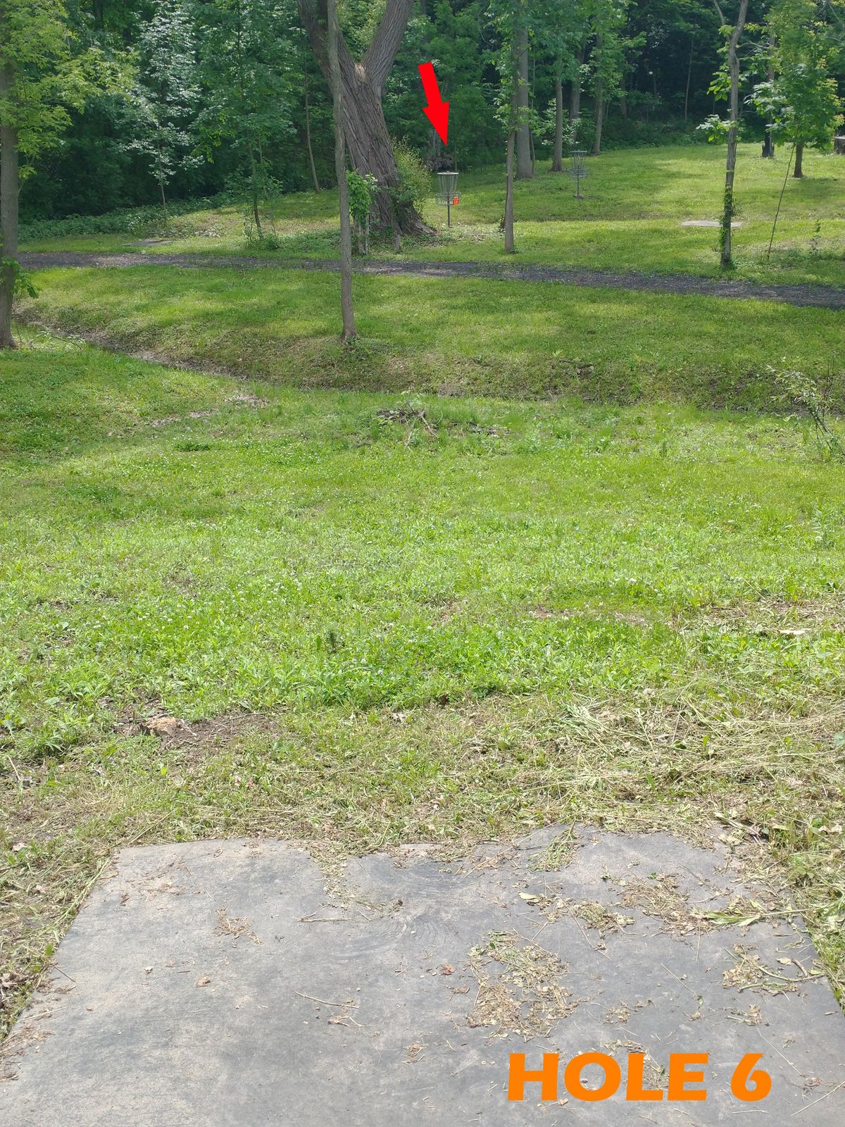 Throw downwards and across previous hole's fairway, ditch, and walking path to basket right of large tree.