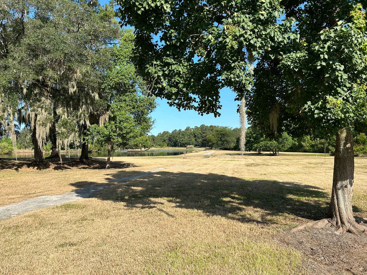 #17 approach