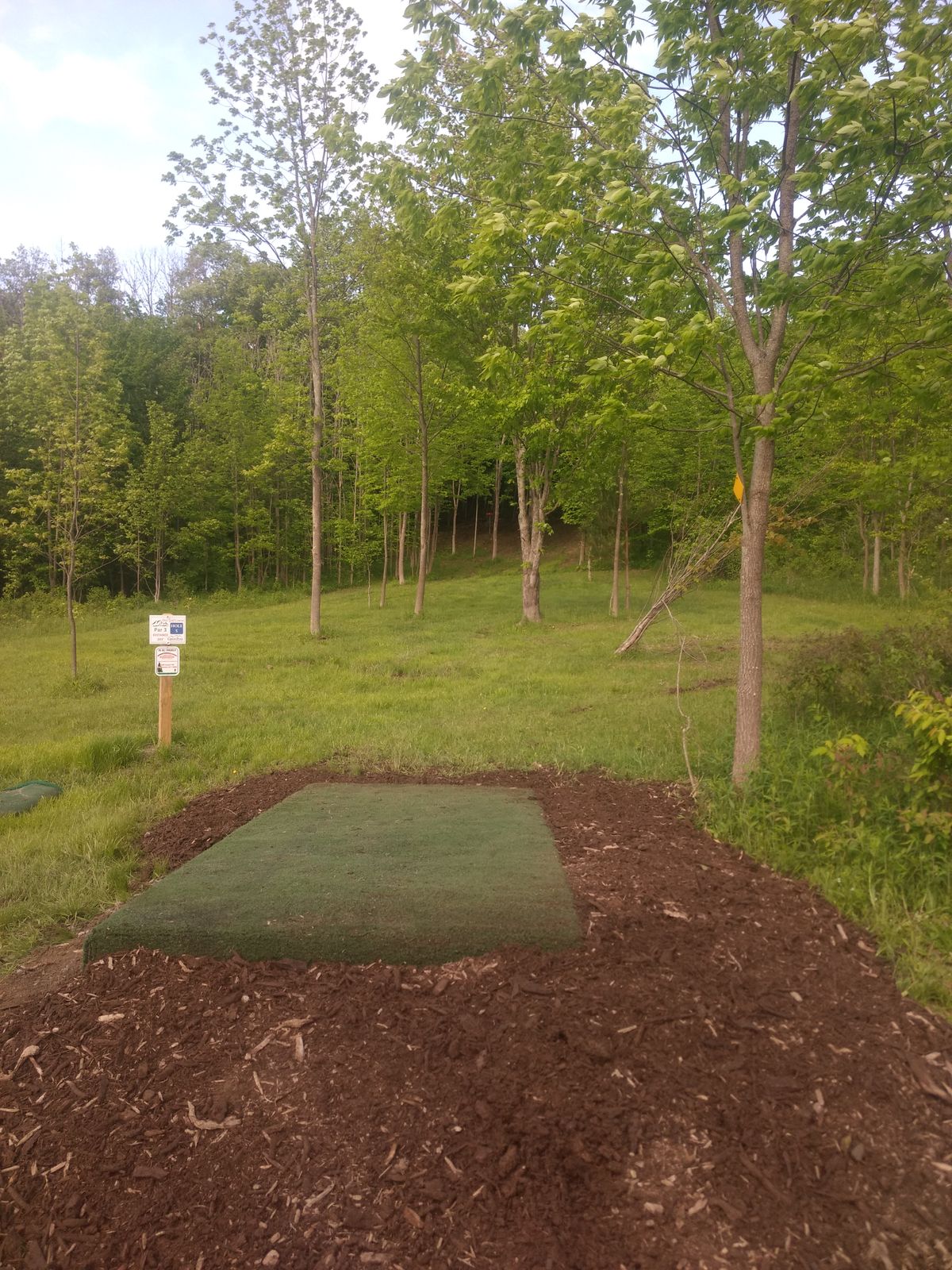 Hole 5 Tee. New tee pad construction has begun