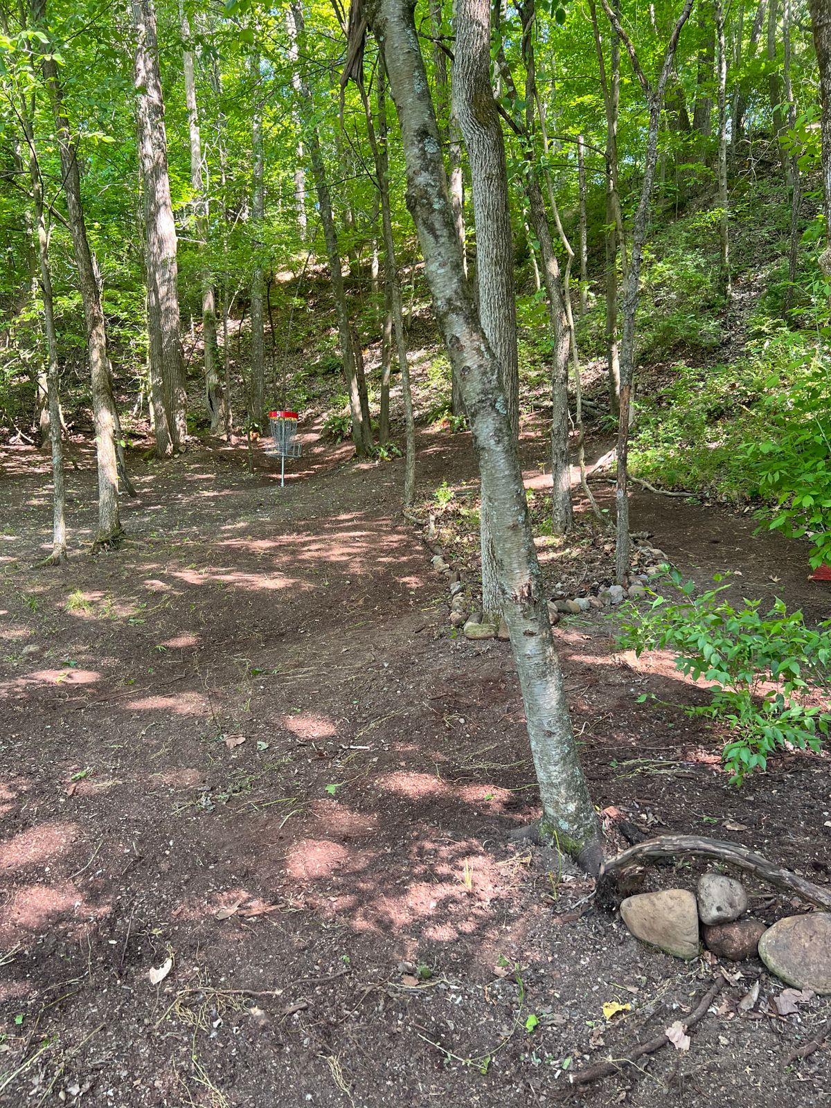 Hole 5 red pin from inside the gap