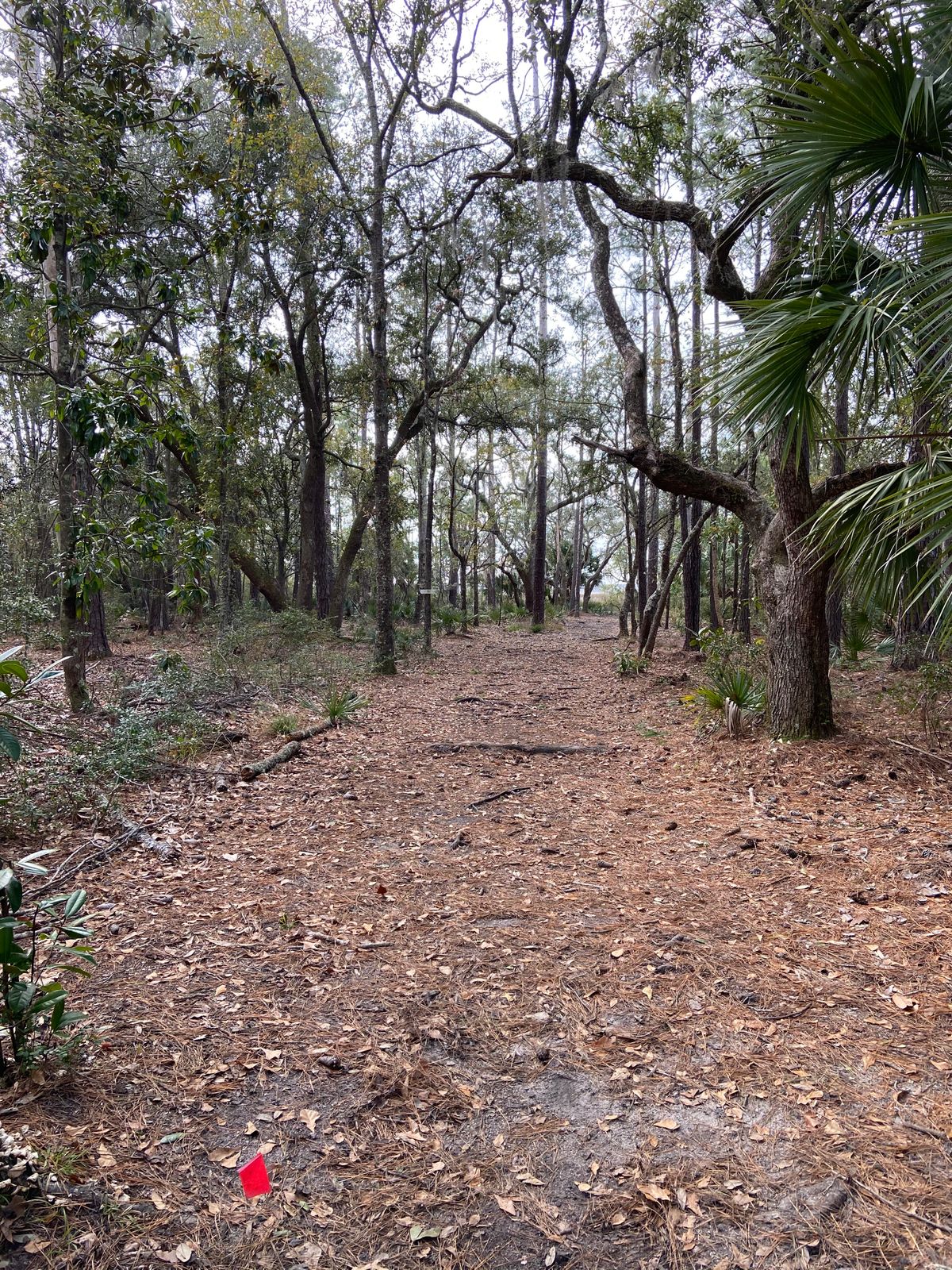 Hole 9