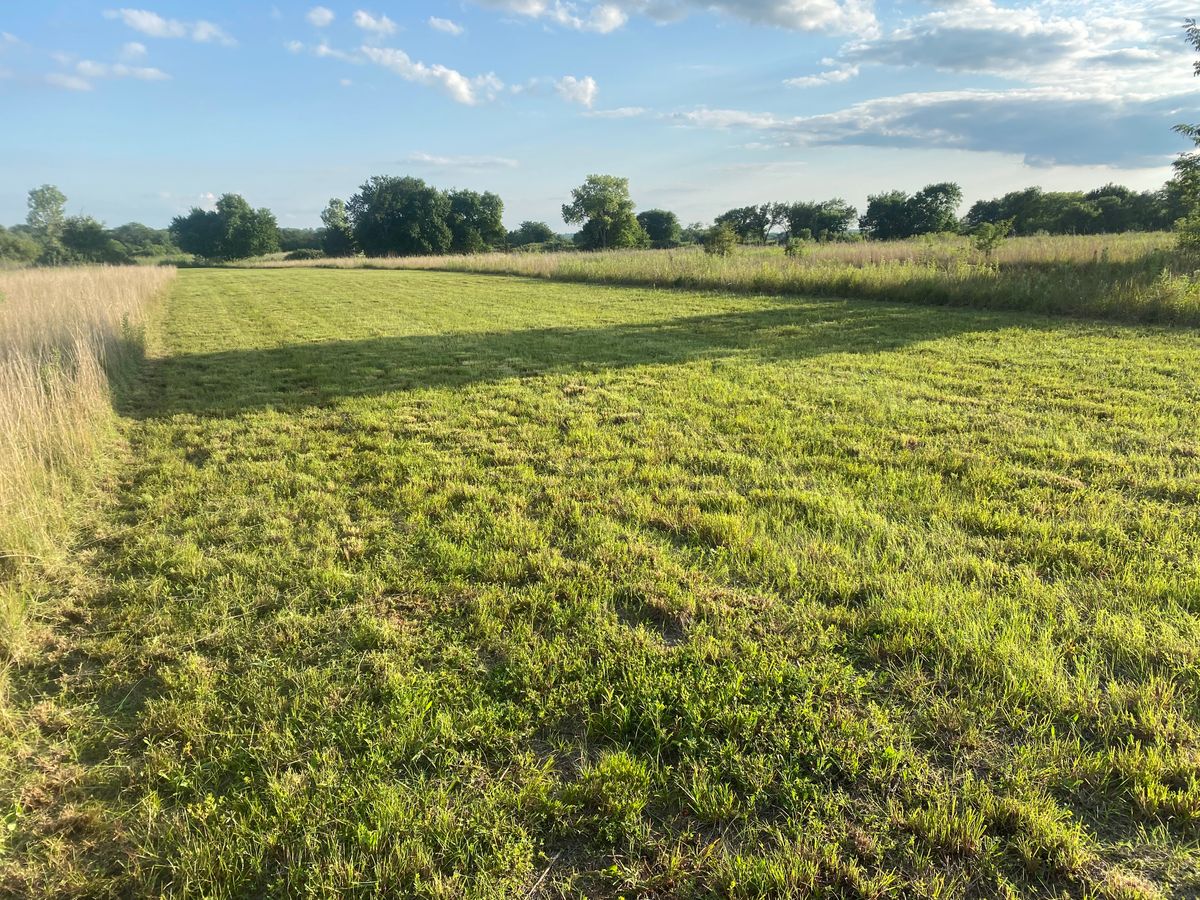 Hole 5 summer 2021