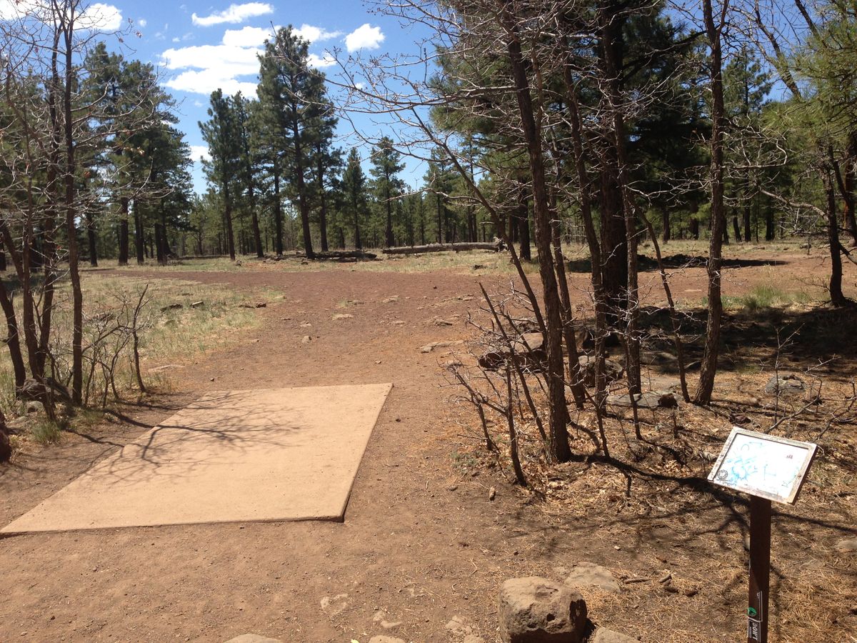 Hole 14