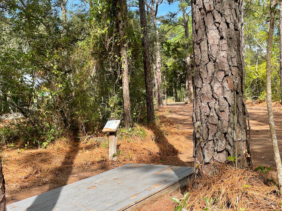 Hole 11