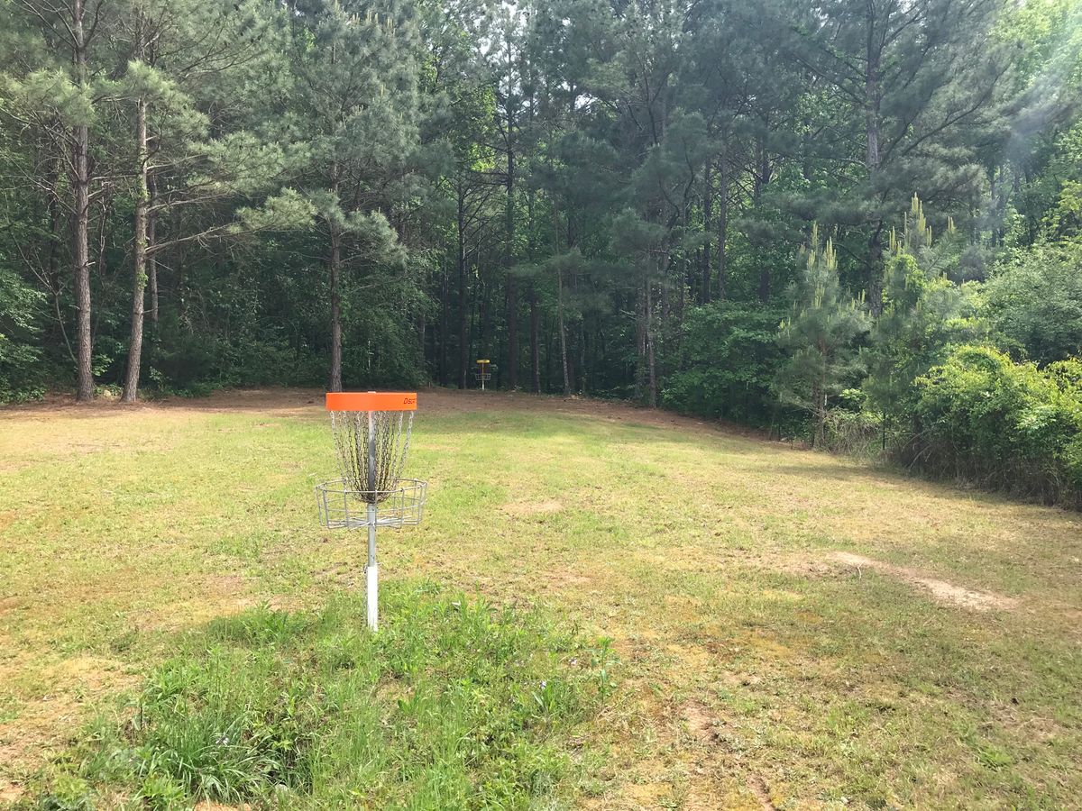 Hole 8 basket to tee