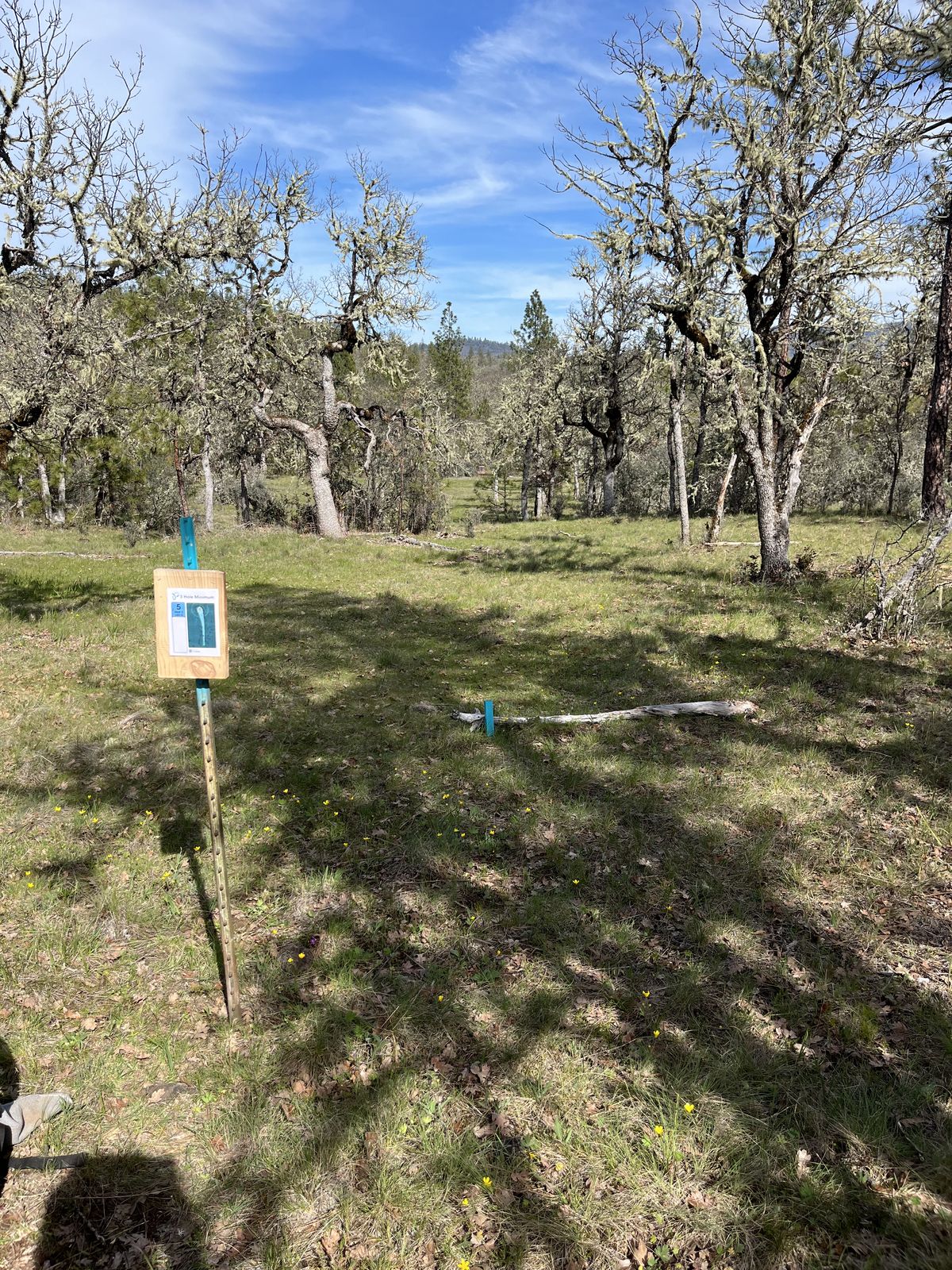 Tee Box 5 for "Buck 9"