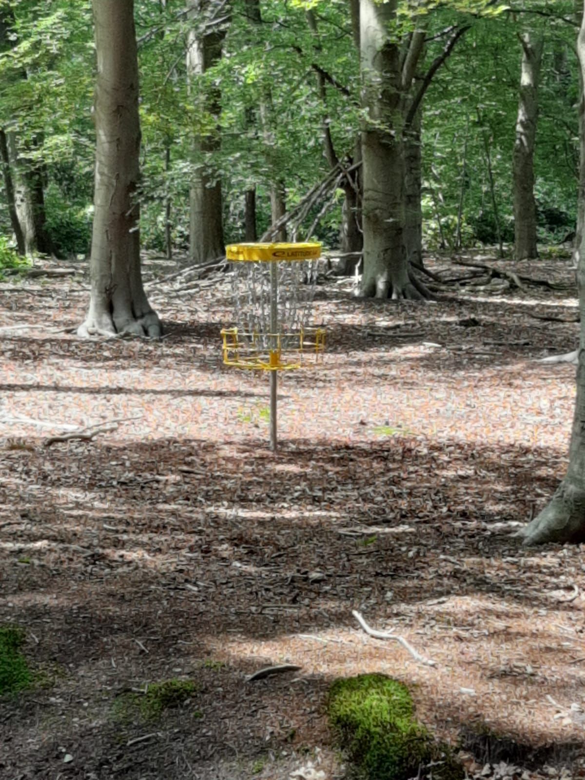 Hole 5