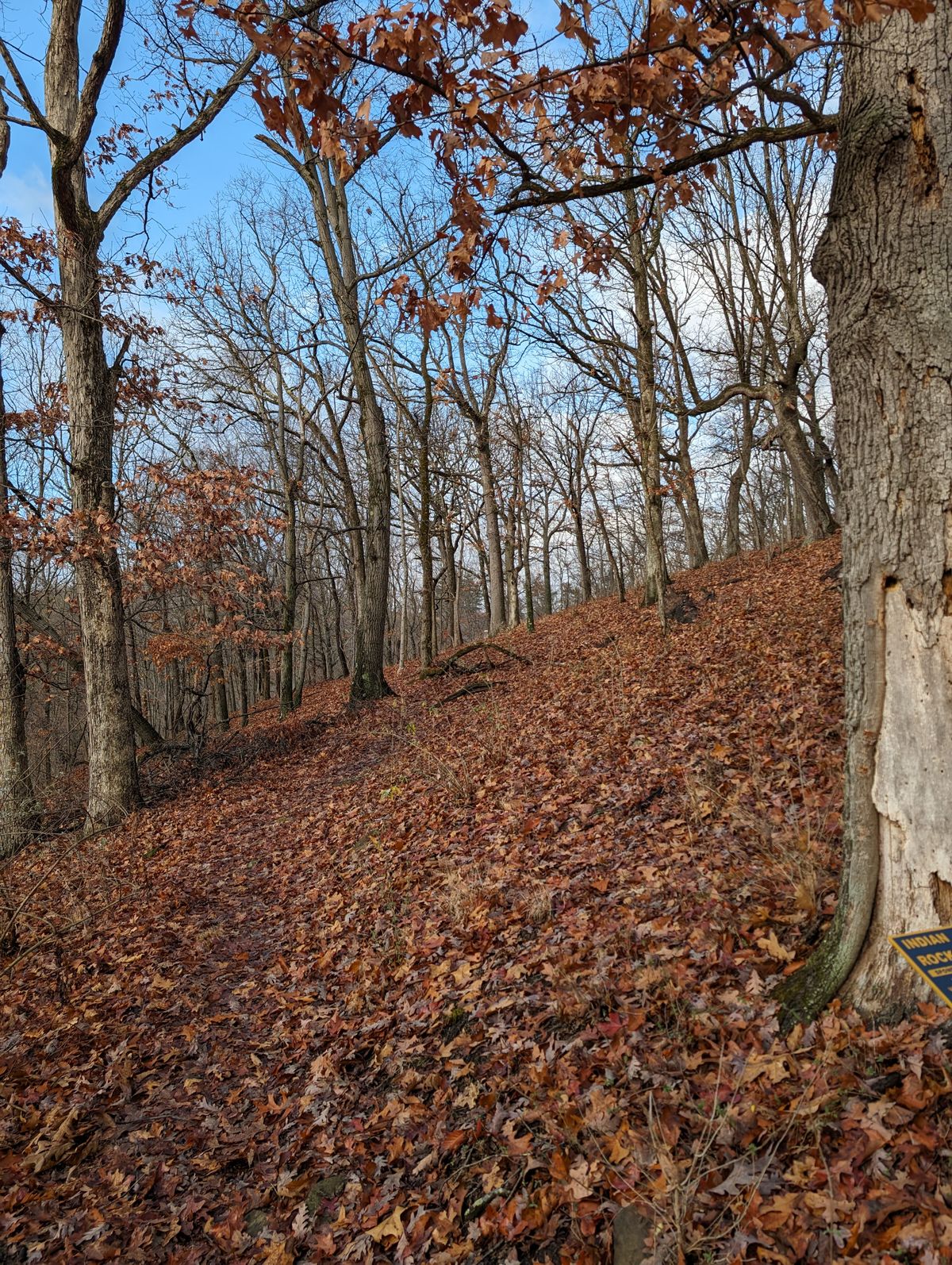 Hole 13 from the pad
