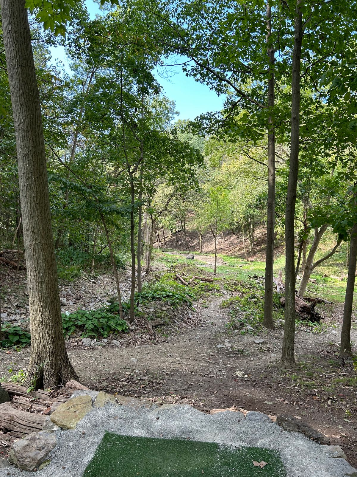 Hole 5 White tee shot