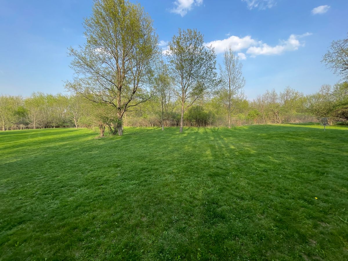 Hole 16 basket (blue placement)