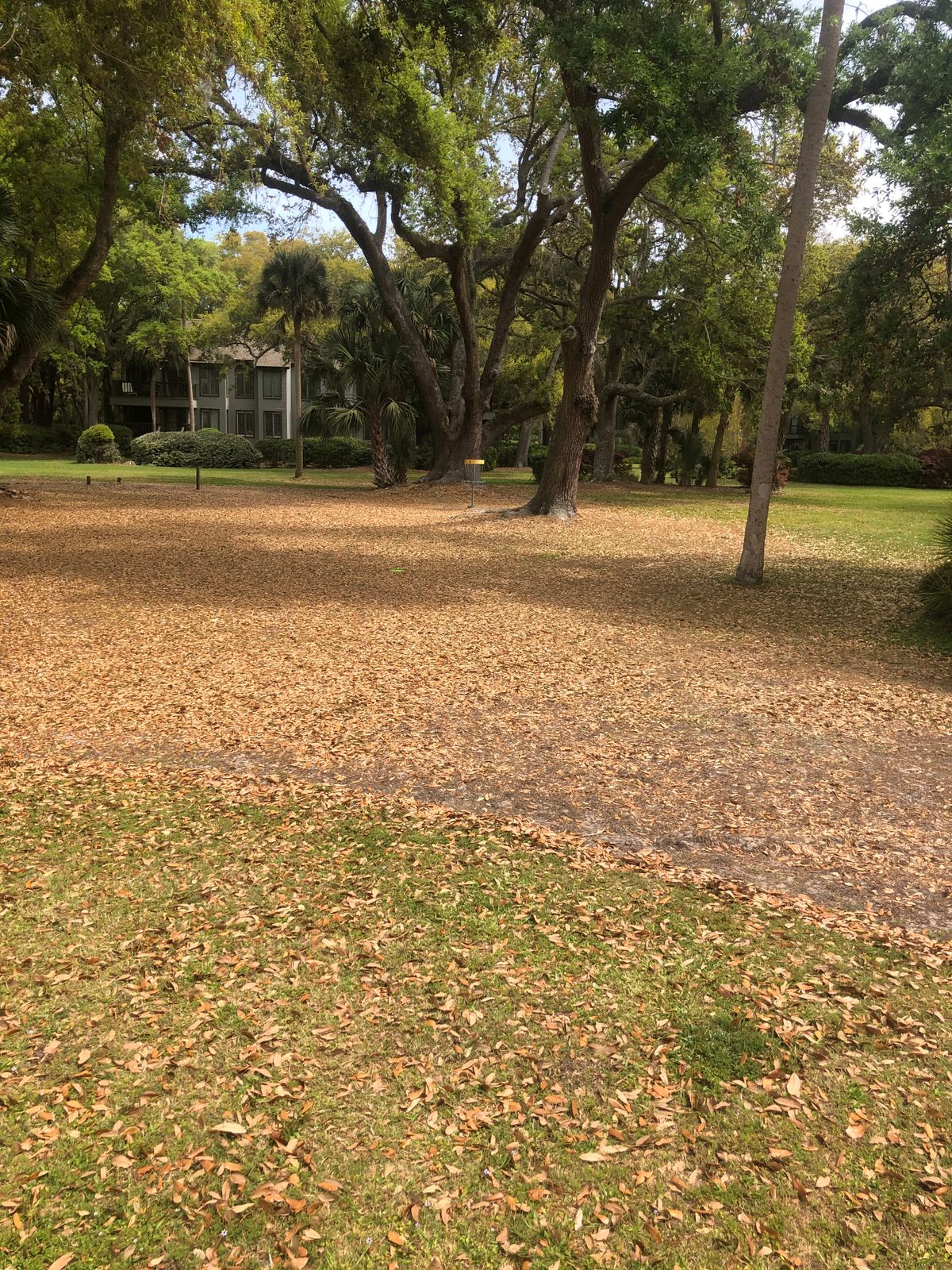 Looking at hole 4