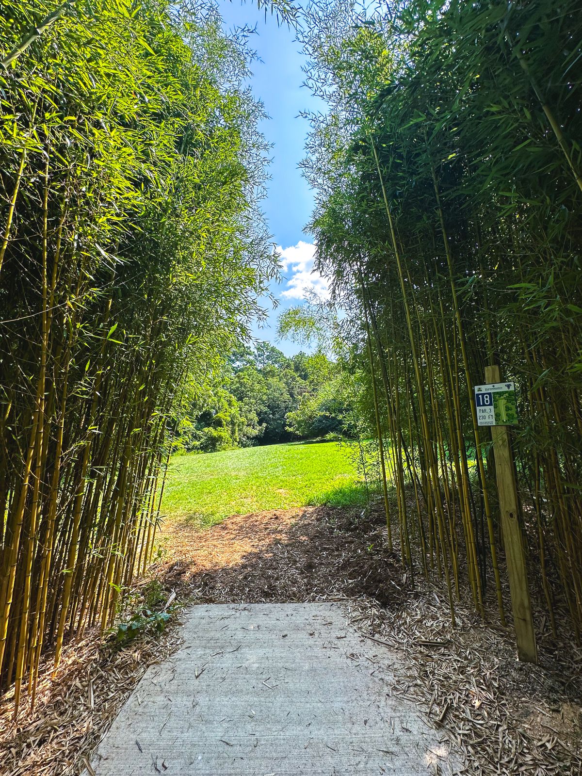 Hole 18 teepad. Basket up and to the right