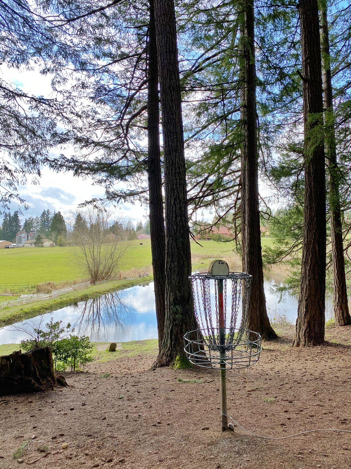Looking back to the tee from the pin on hole 6.