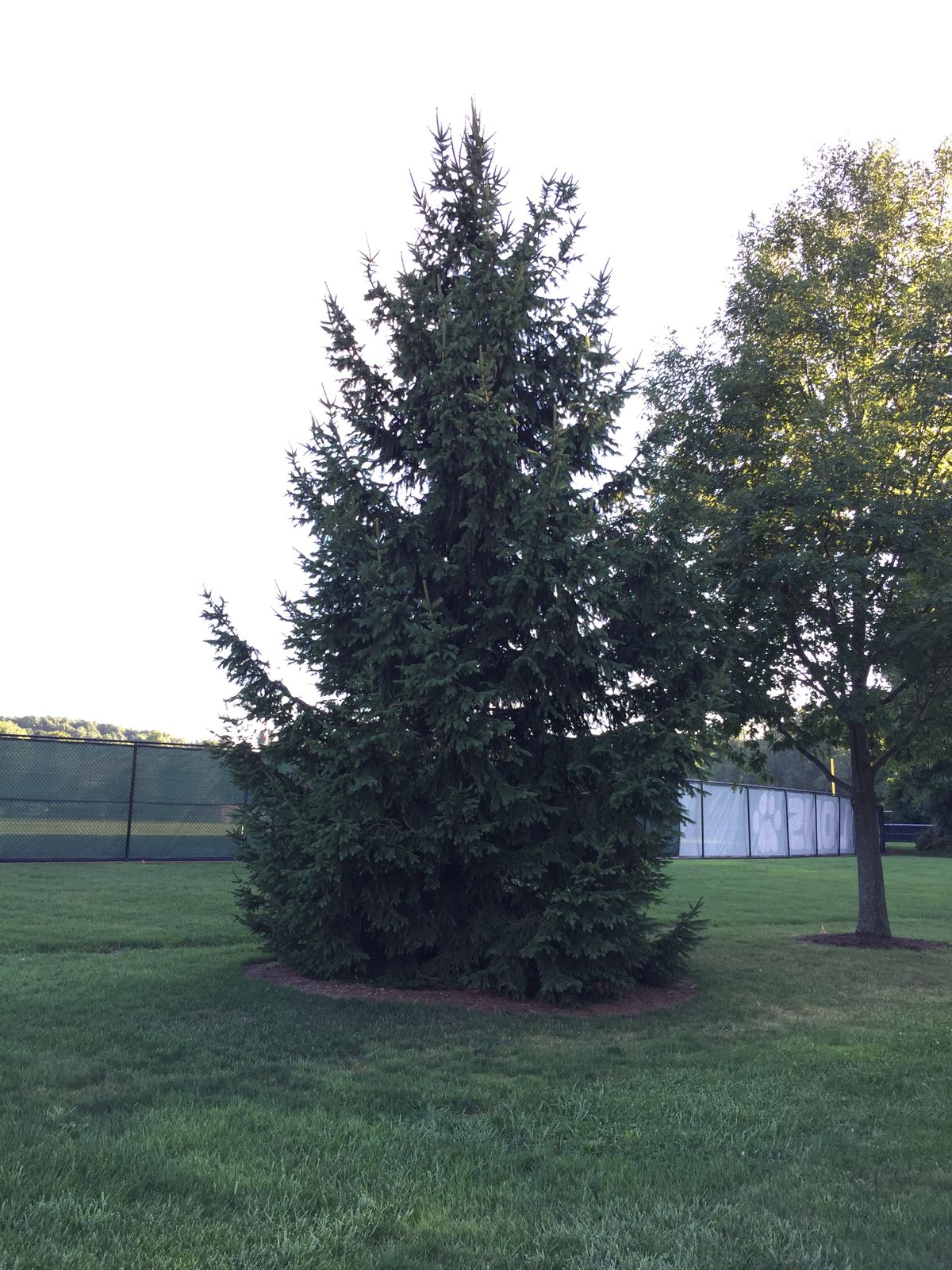 Hole 2