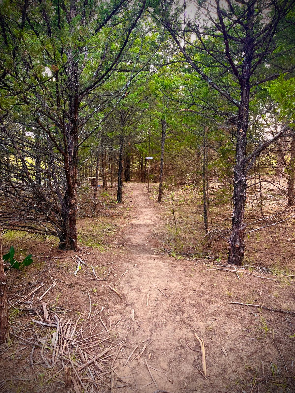 Walkway between 10 and 11