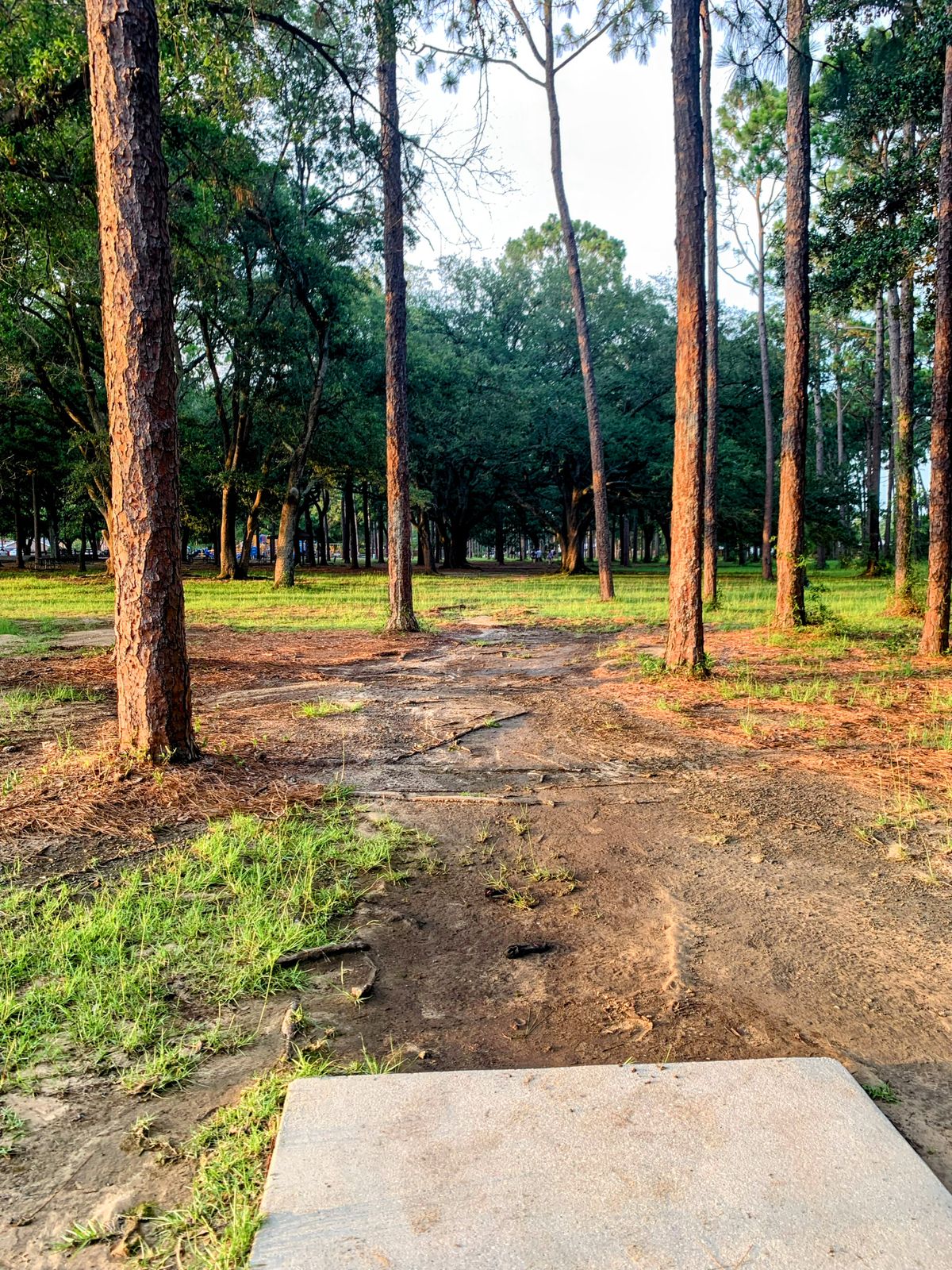 Hole 9, 300ft, par 3