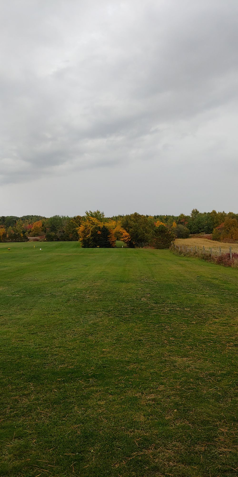 Only hole with obstacles (tree lines).