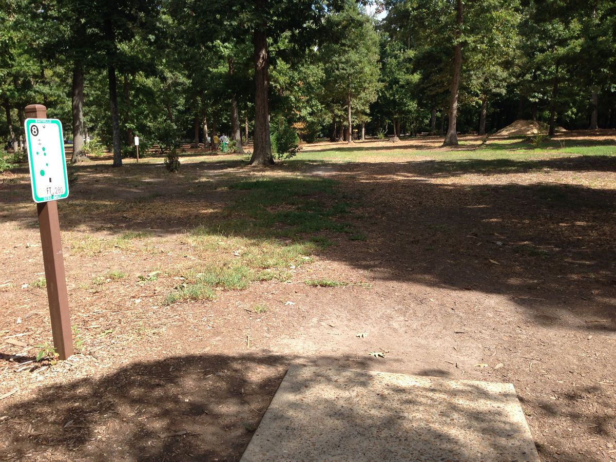 Hole 8