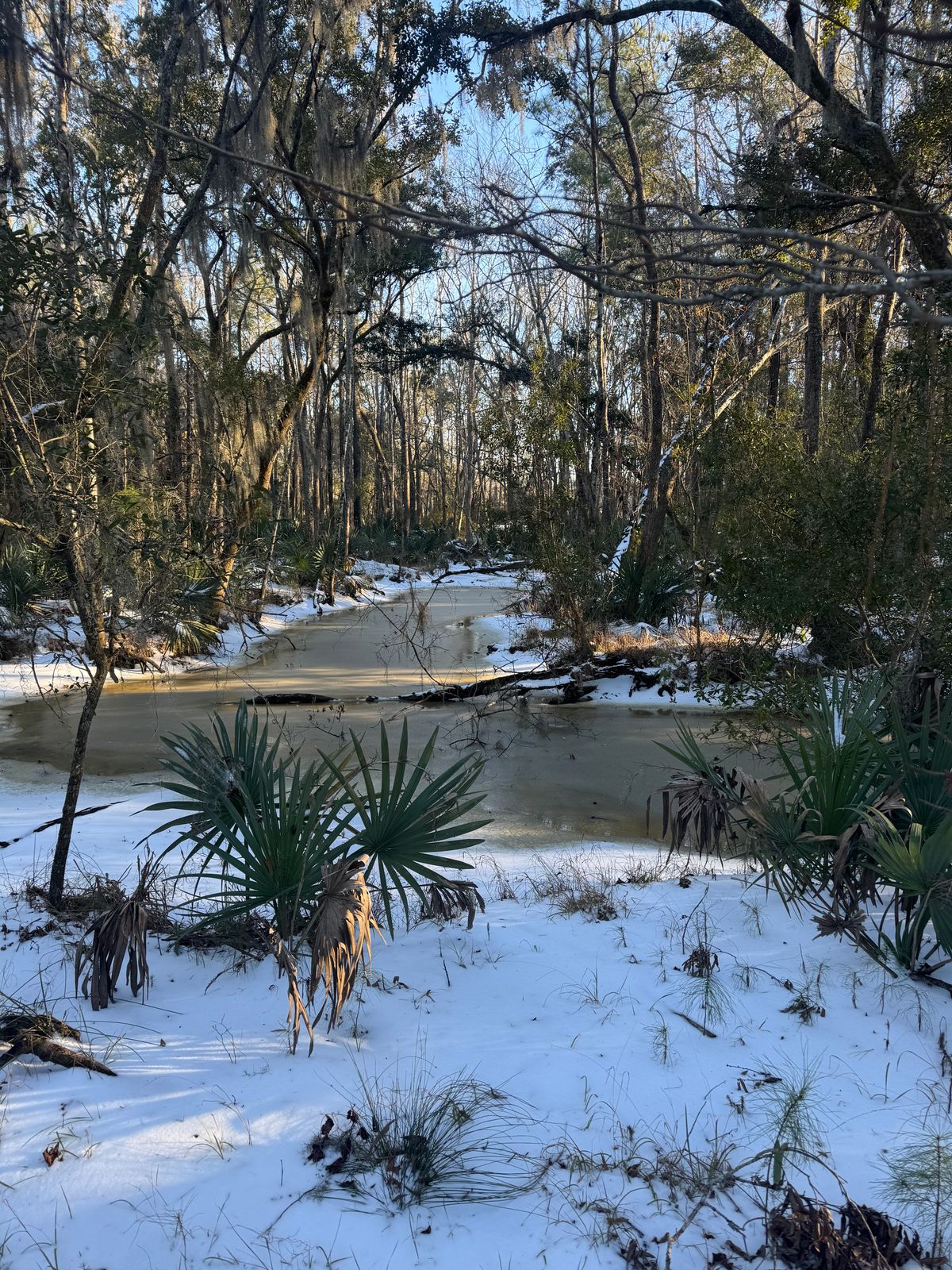 1/22/25