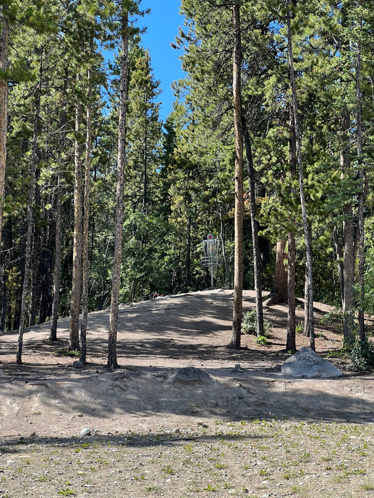 Hole 6 basket