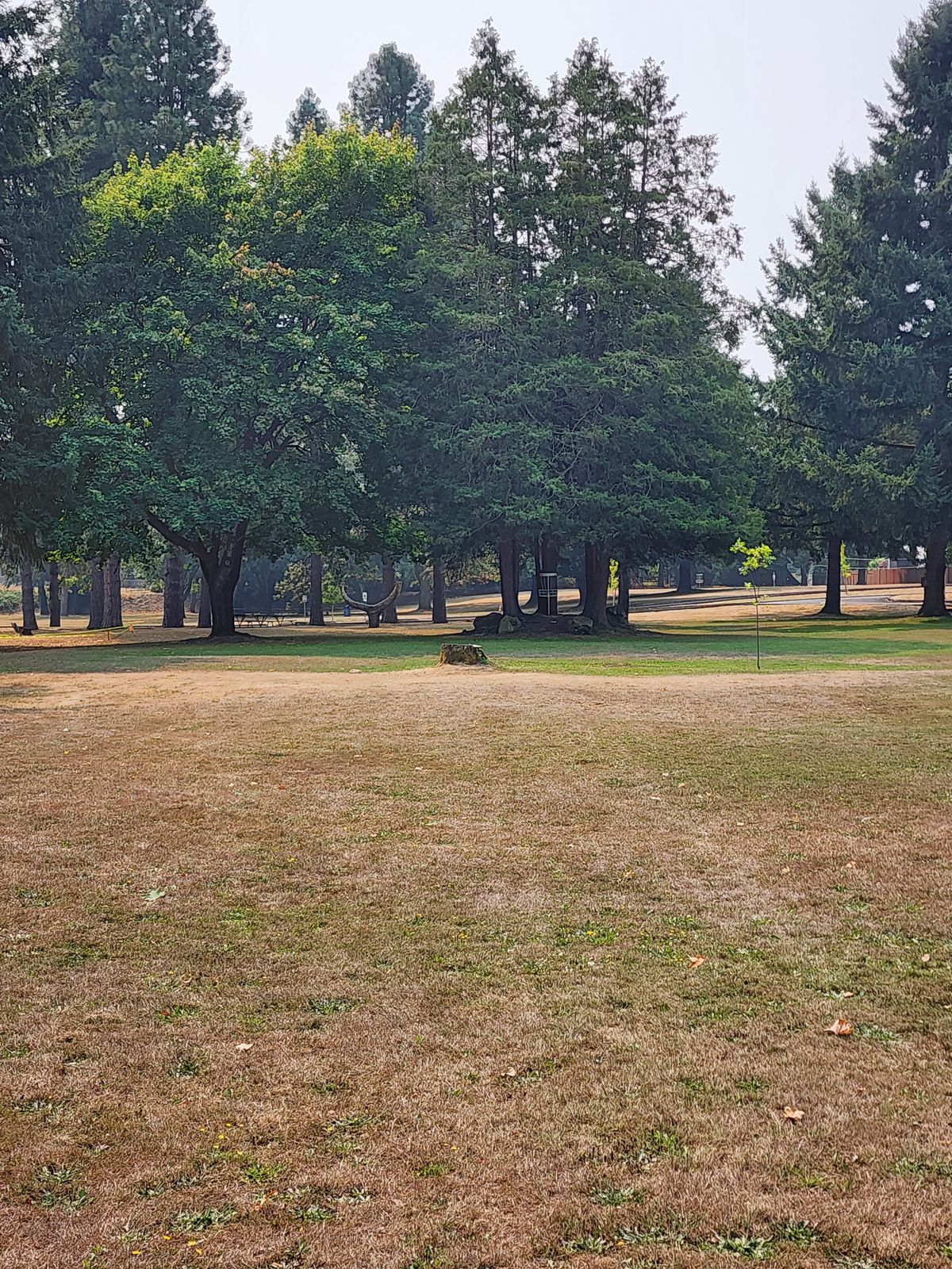 Hole #6
