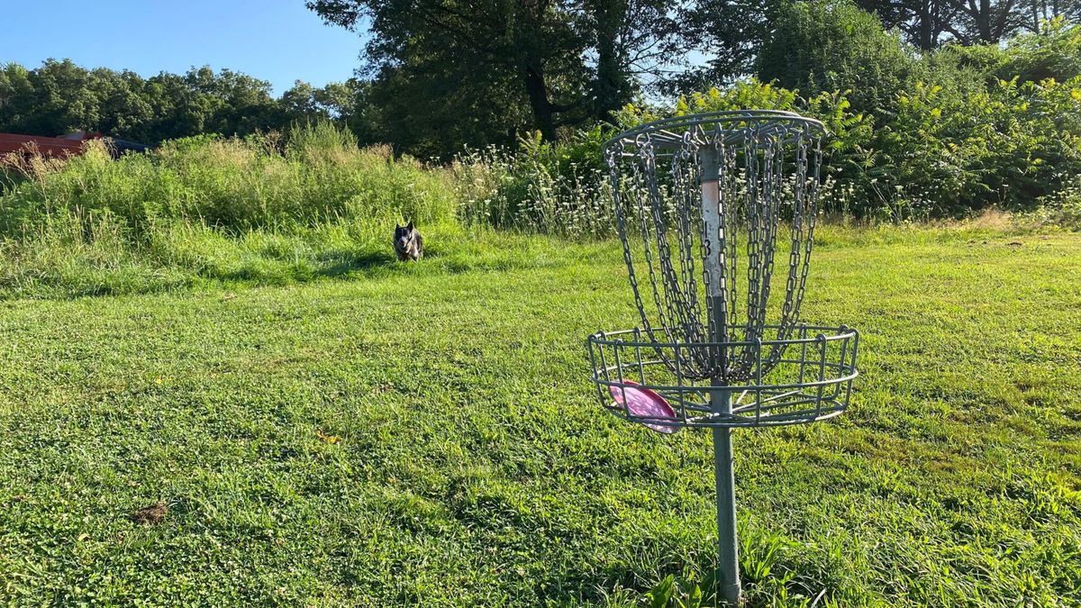 Green of 18