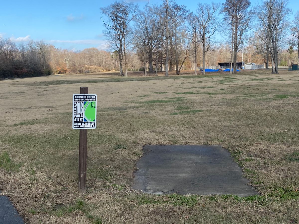Hole 10 short pad