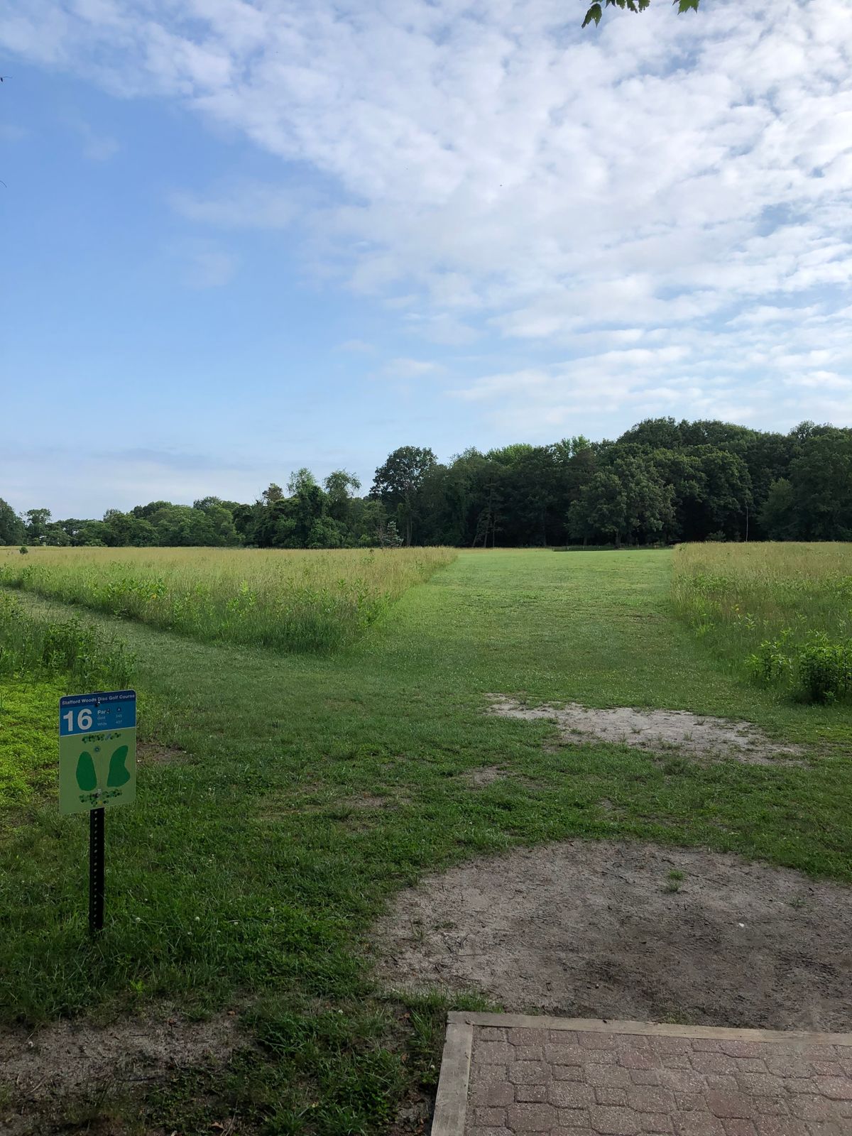 Tee box at 16