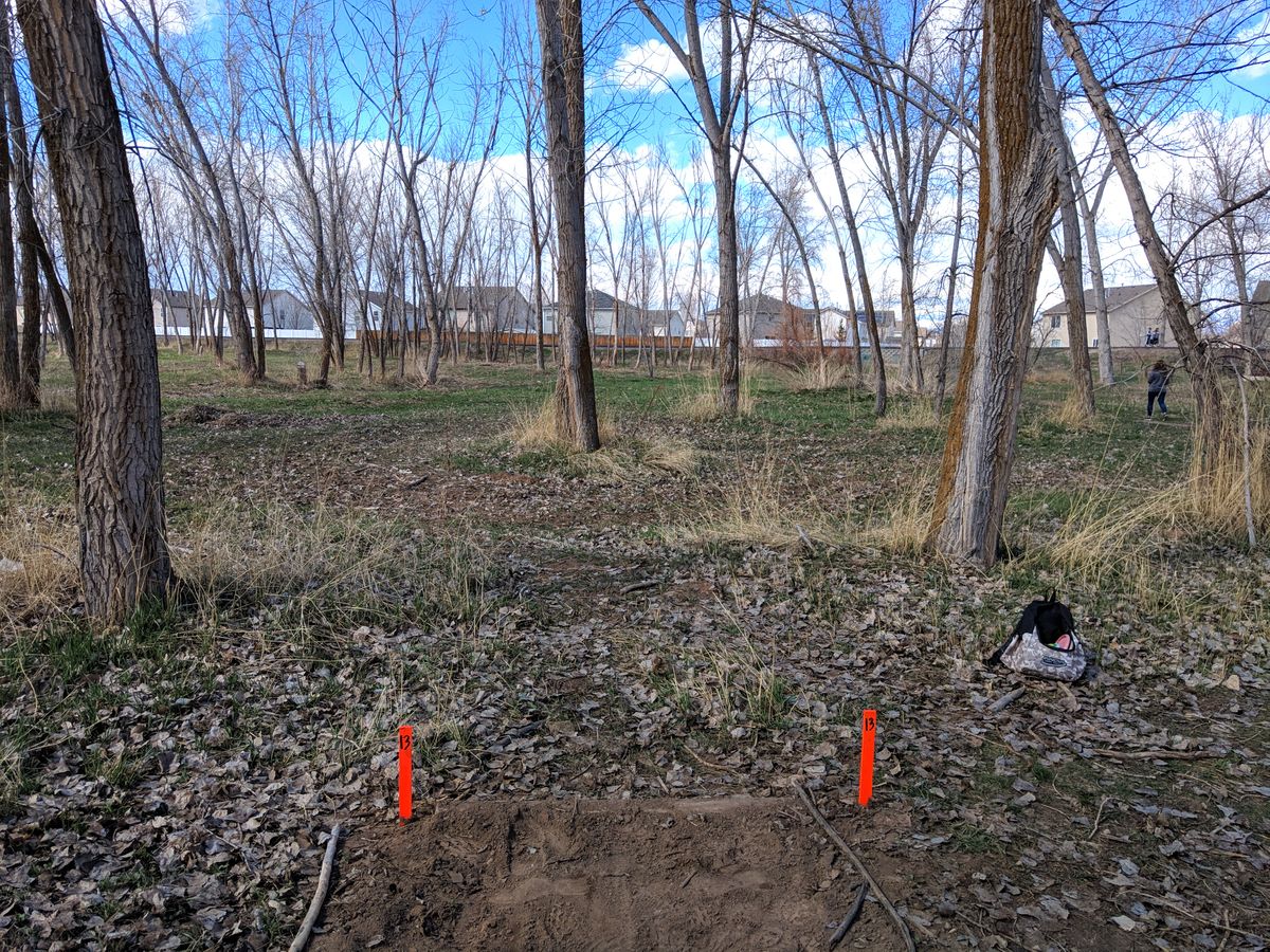 Hole #13 Tee