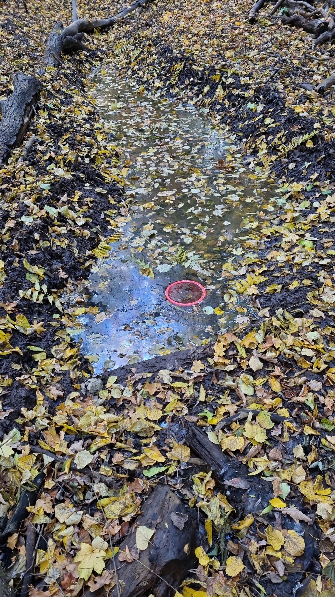 I tohle se může stát na jamce 12, ale na jaře je vody ještě víc..