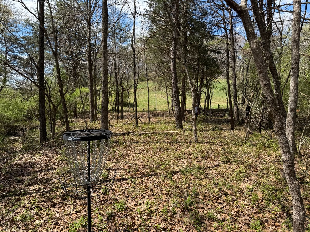Hole 11 basket towards fairway
