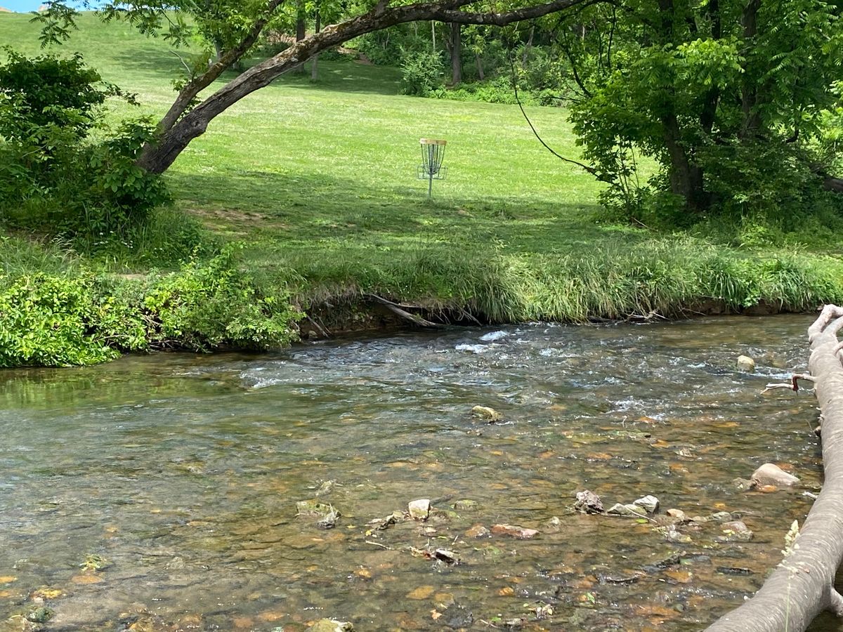 Basket #10 across the creek