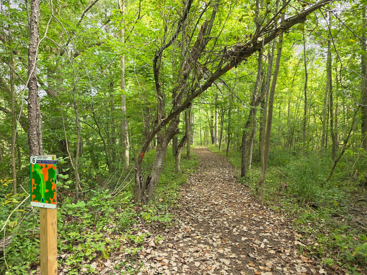 Hole 6