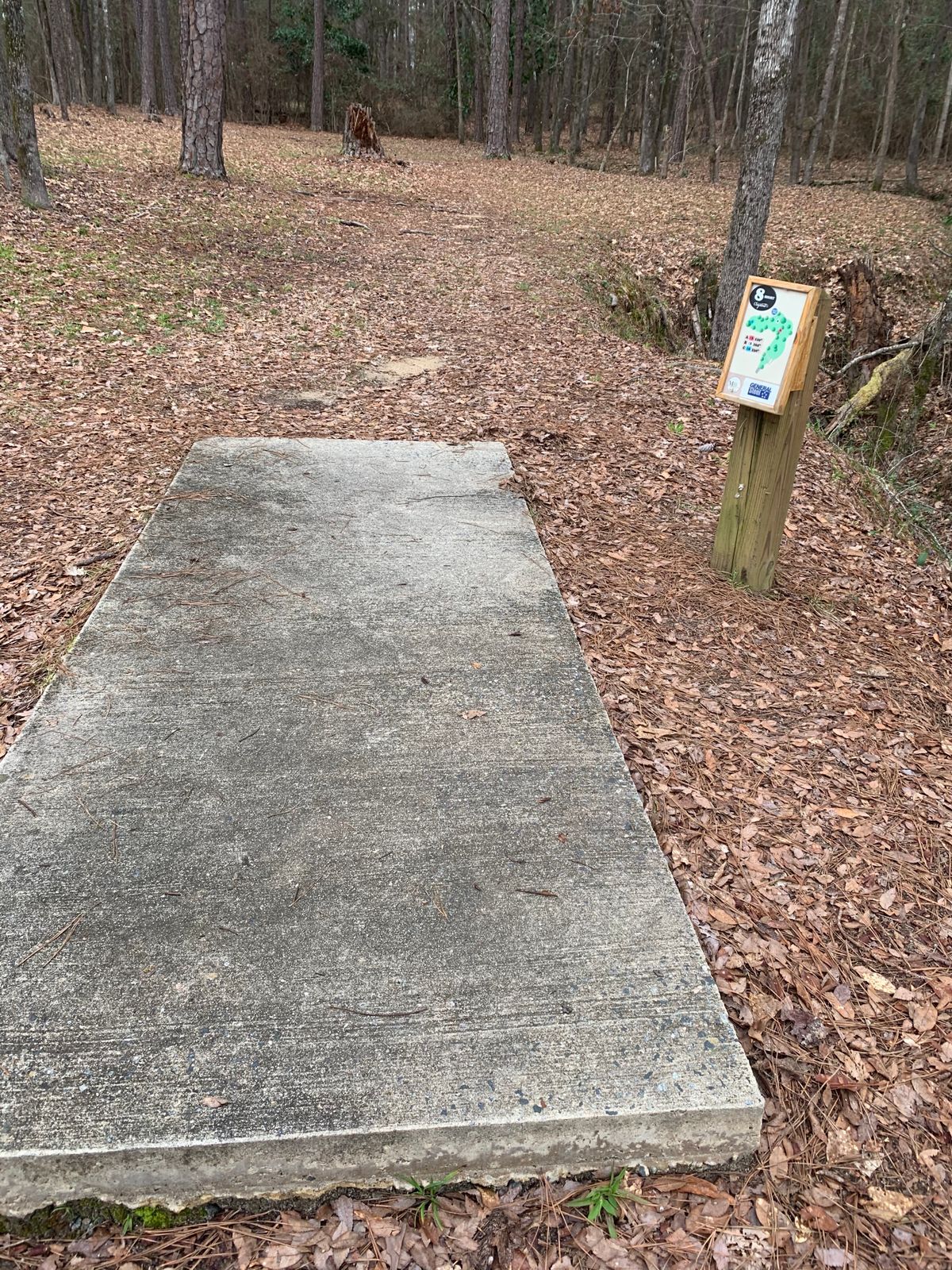 Hole 8