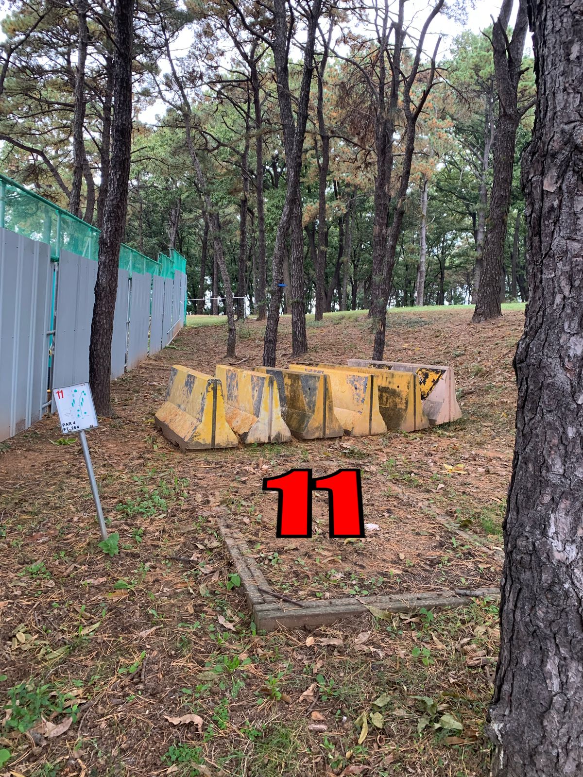 Red 11