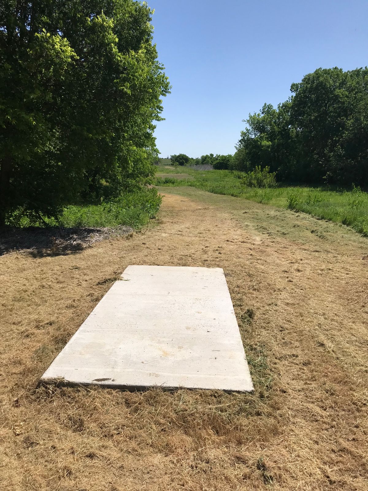 Hole 7 from tee