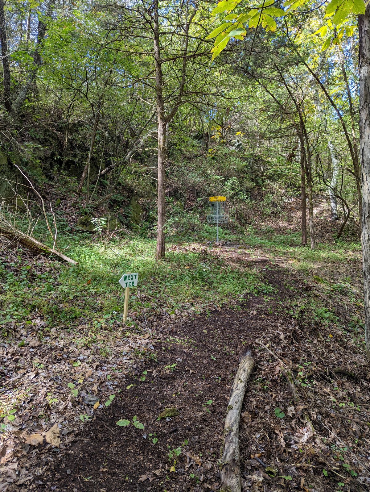 Hole 5 The Cliff
