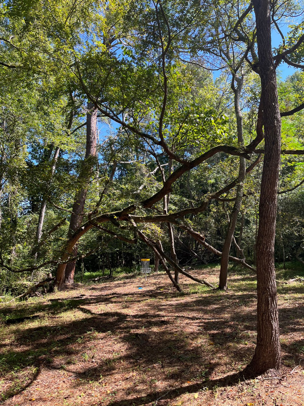 Hole 18 Green