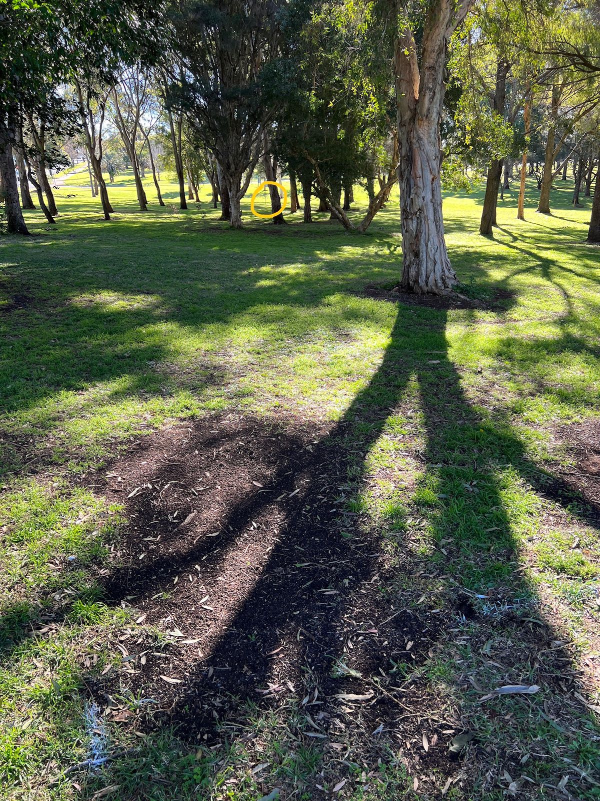 Alt 5 hole 14