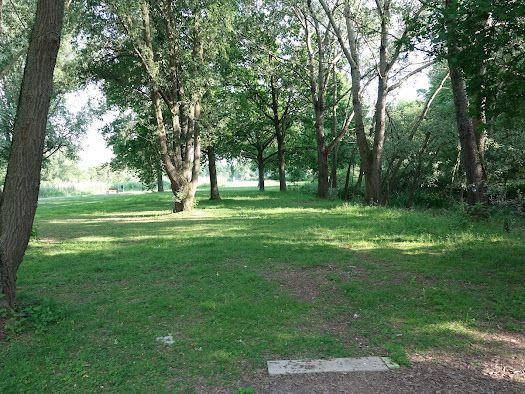 Tee 14