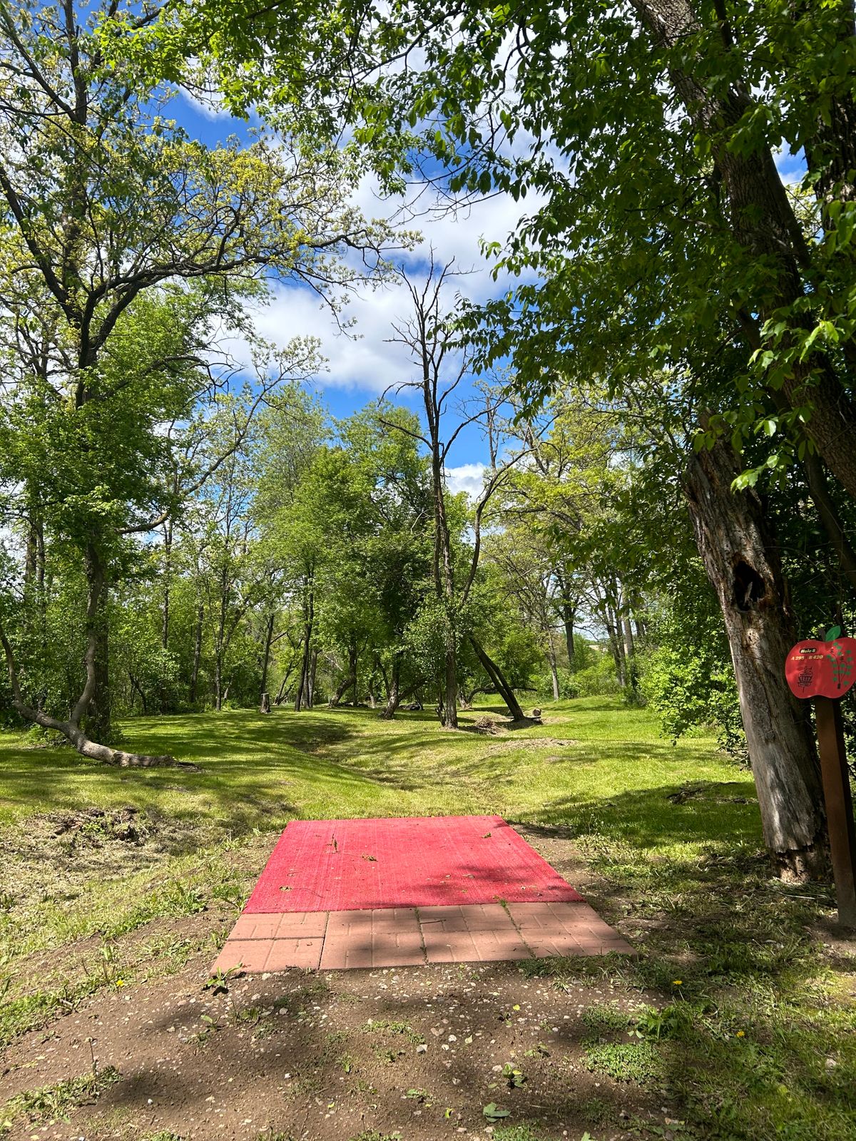 Hole 8 - unbelievably beautiful hole