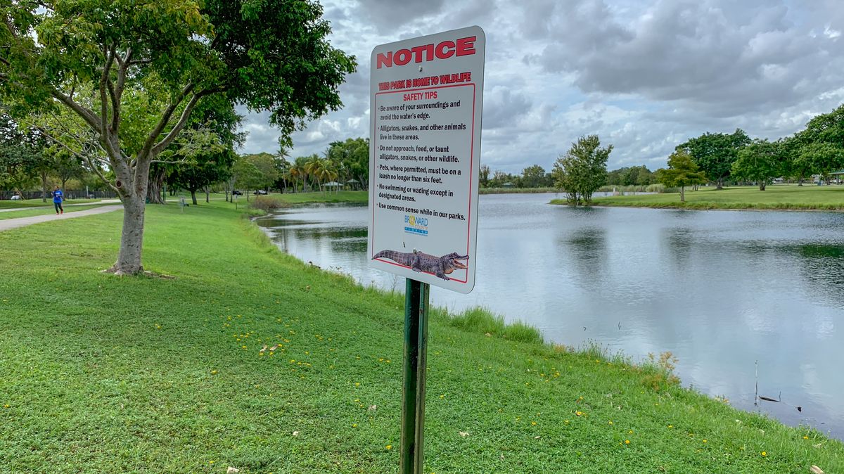 Hole 4