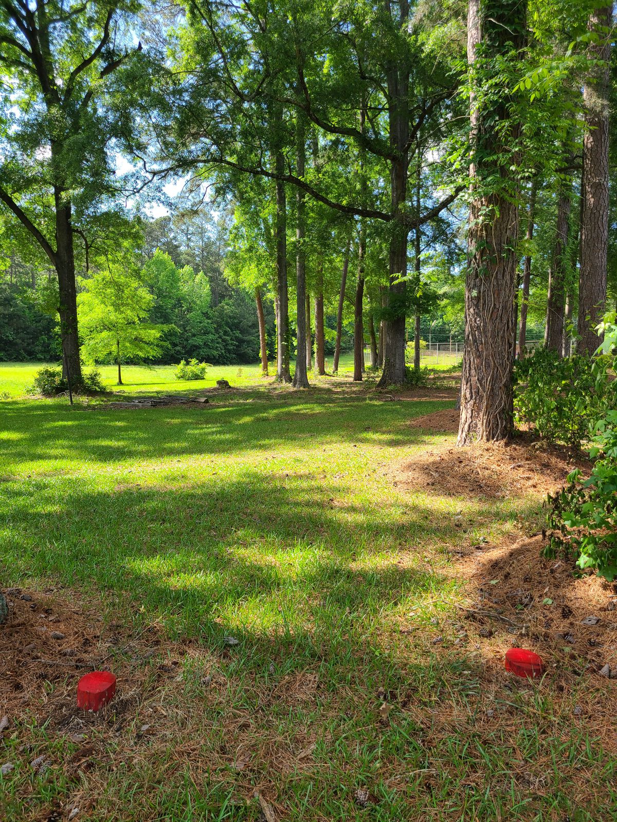 Hole 8
