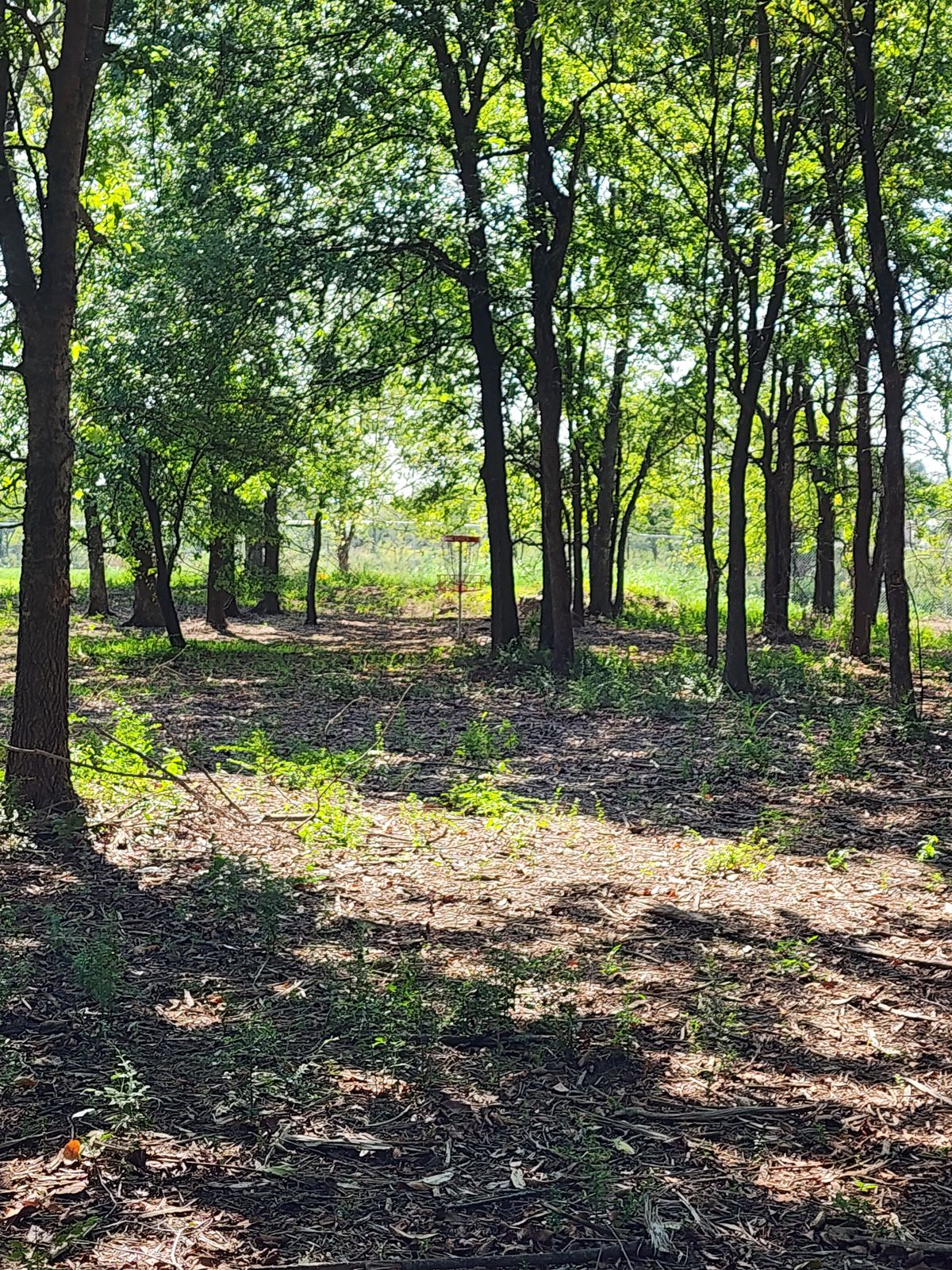 Hole 3