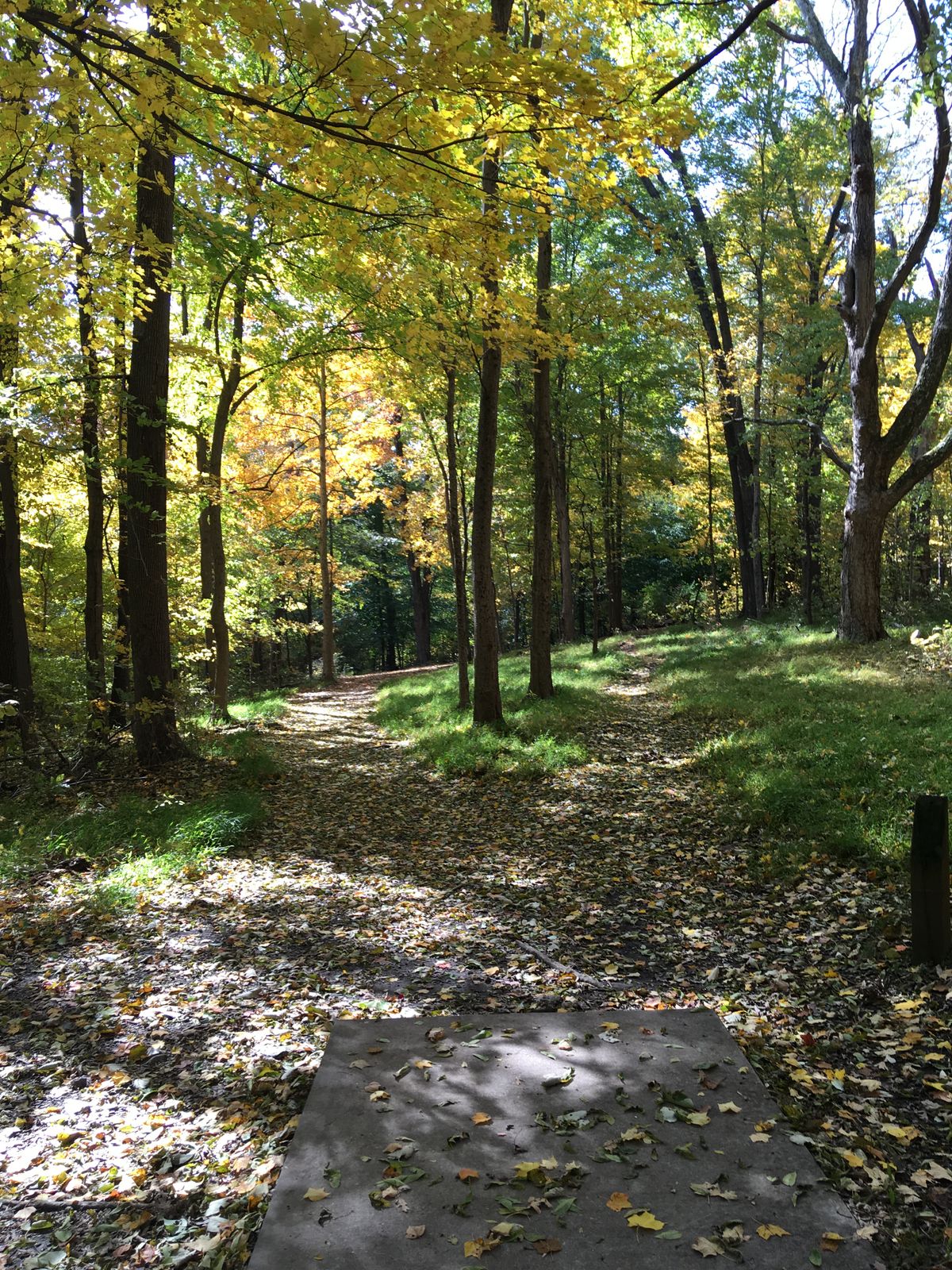 Hole 11