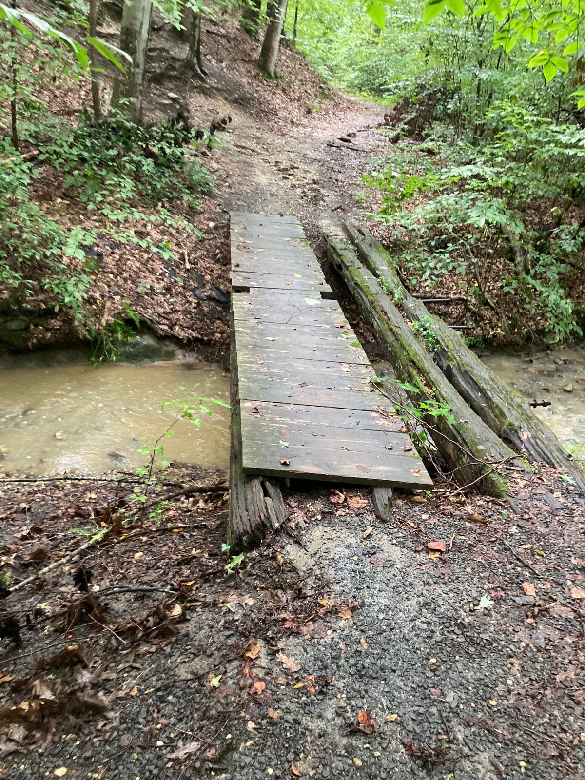 Bridge to 13. Go left over bridge and up hill. There is a small marker on tree