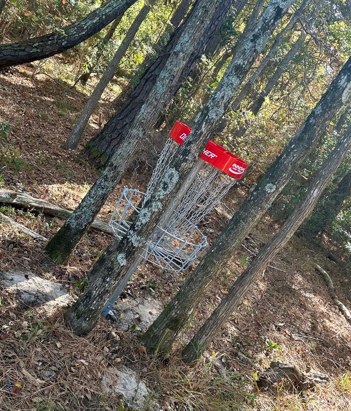 Guarded long basket